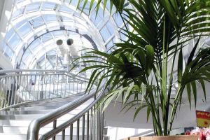 galerie_businessfloristik_b04.jpg