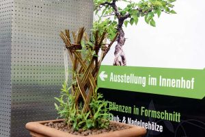 galerie_blumen_gundlach_in_outdoor_floristik_b01.jpg
