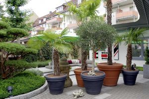 galerie_blumen_gundlach_in_outdoor_floristik_b14.jpg