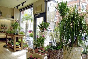 galerie_blumen_gundlach_ueber_uns_b07.jpg
