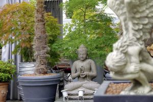 galerie_blumen_gundlach_in_outdoor_floristik_b04.jpg