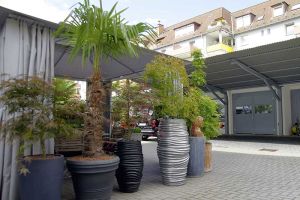 galerie_blumen_gundlach_in_outdoor_floristik_b16.jpg