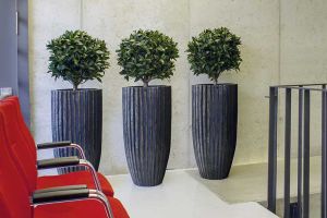 galerie_businessfloristik_b12.jpg