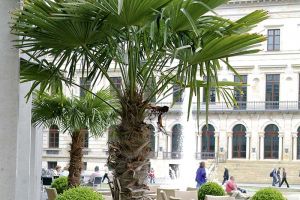 galerie_businessfloristik_b05.jpg