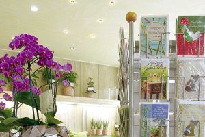 galerie_accessoires_neu_b05.jpg
