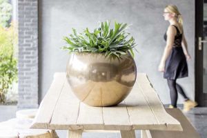galerie_blumen_gundlach_in_outdoor_floristik_b18.jpg