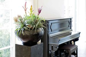 galerie_blumen_gundlach_in_outdoor_floristik_b22.jpg