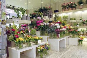 galerie_blumen_gundlach_ueber_uns_b05.jpg