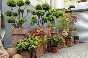galerie_blumen_gundlach_in_outdoor_floristik_b03.jpg