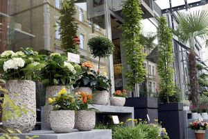 galerie_blumen_gundlach_ueber_uns_b10.jpg