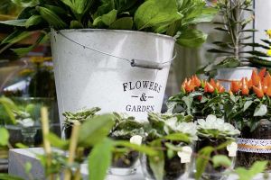 galerie_blumen_gundlach_ueber_uns_b09.jpg