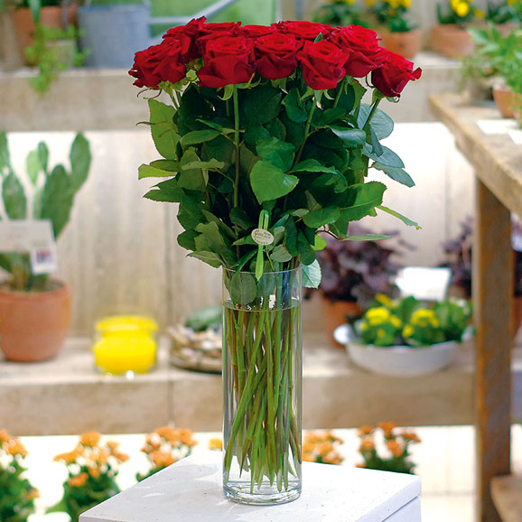 Blumenstrauß 04 Großer Liebesbote