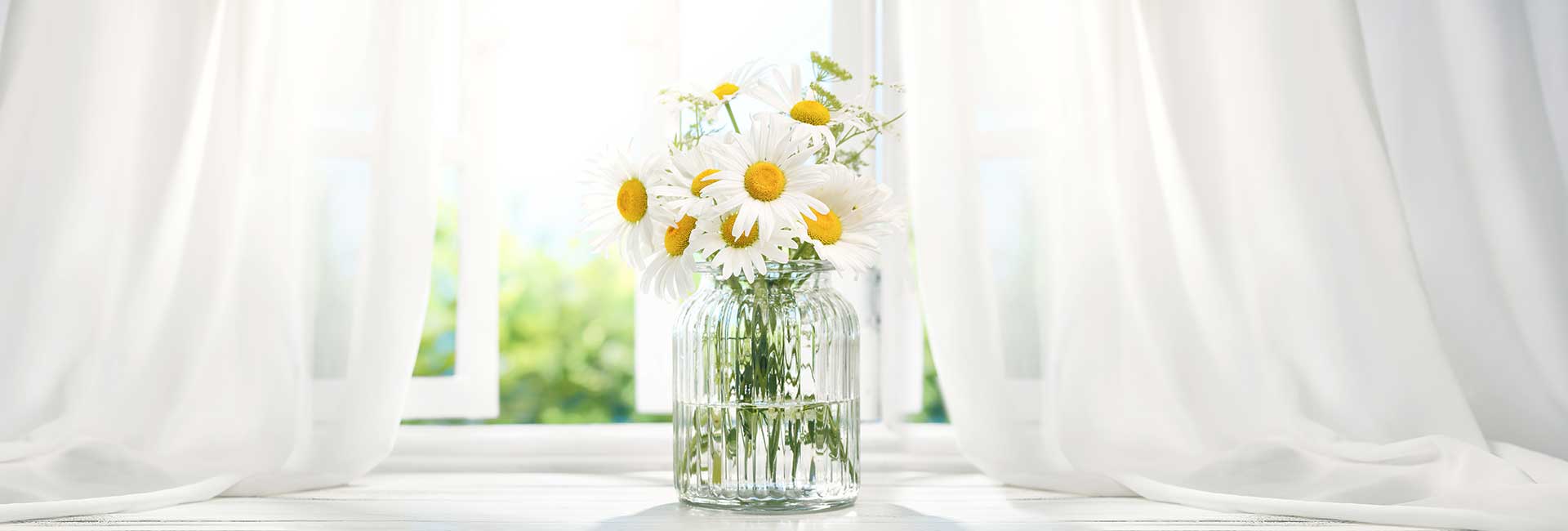 Blumen Gundlach Braunschweig - Sliderbild 02