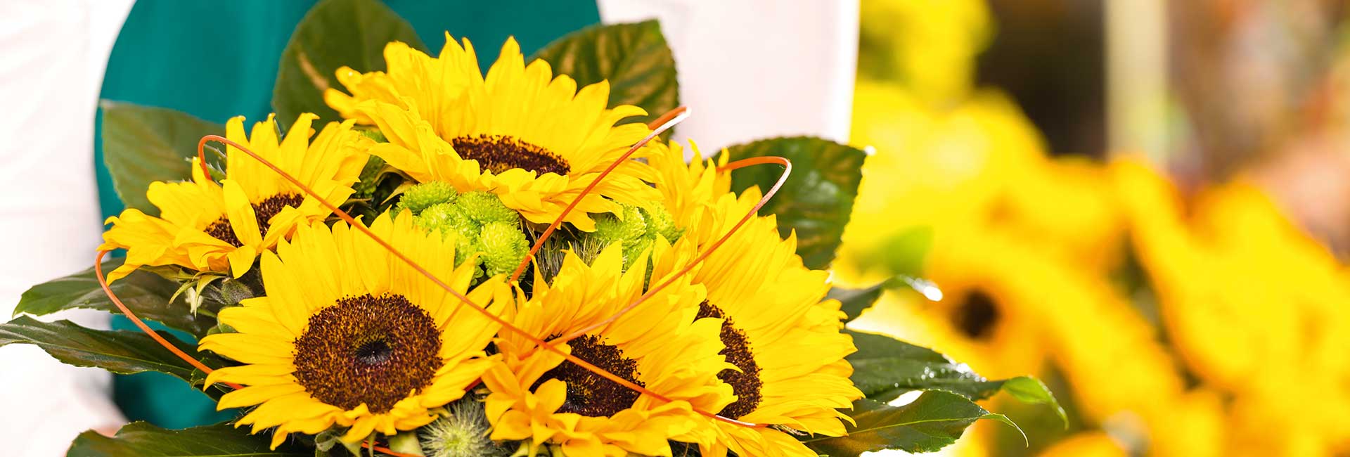 Blumen Gundlach Braunschweig - Sliderbild 06